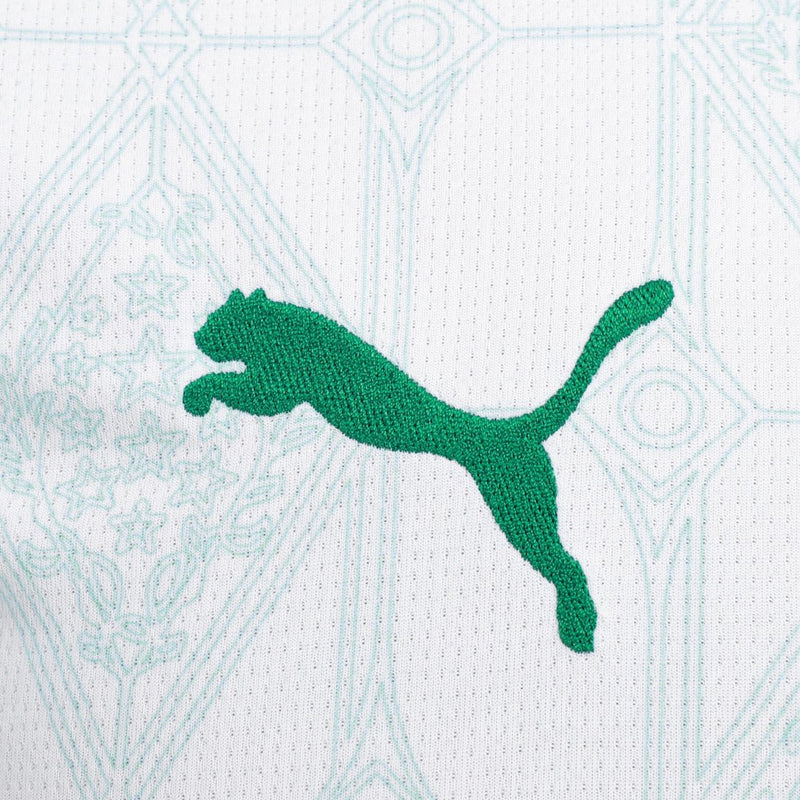 Camisa Palmeiras 25/26 Away Torcedor